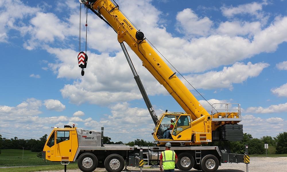 Discovering the Beauty and Functionality of Loraine Cranes